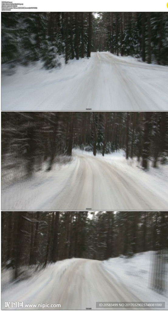 森林雪地穿梭
