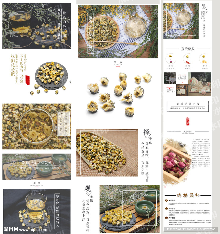 胎菊小菊花茶淘宝详情页