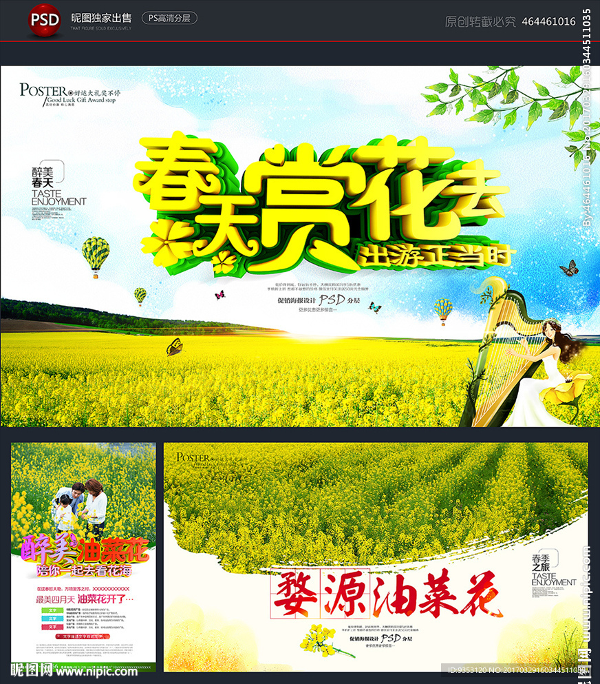 油菜花海报