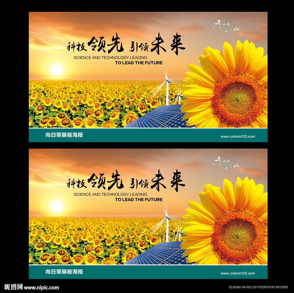 向日葵