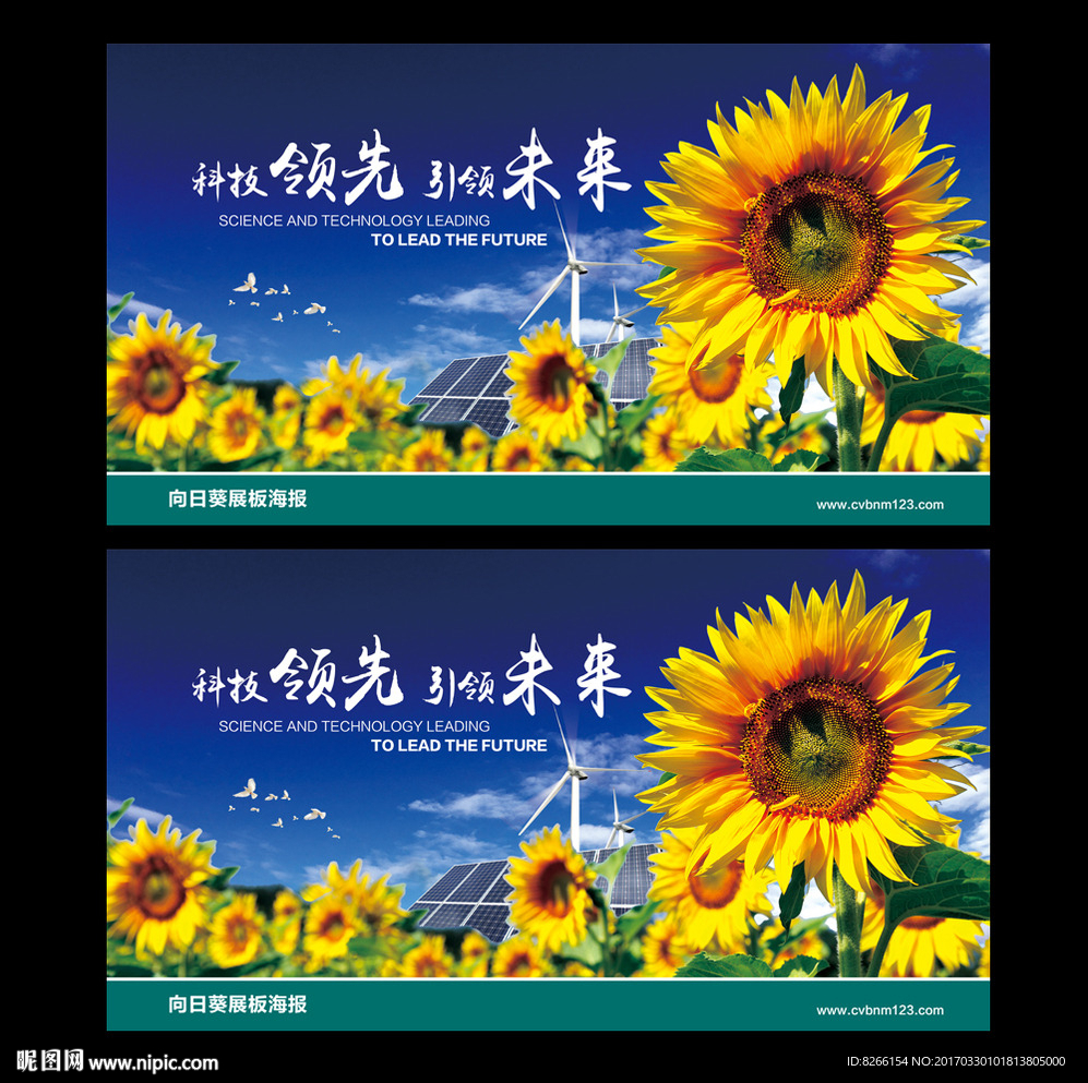 向日葵