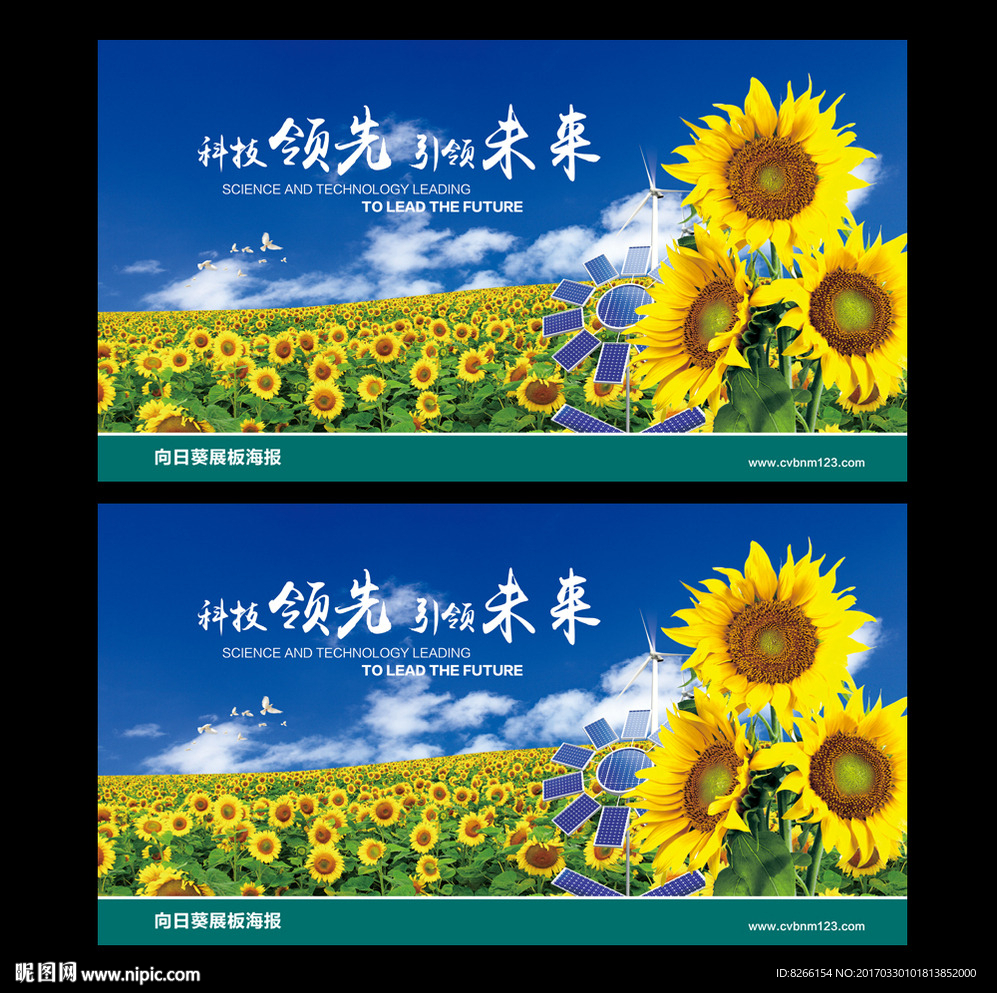 向日葵