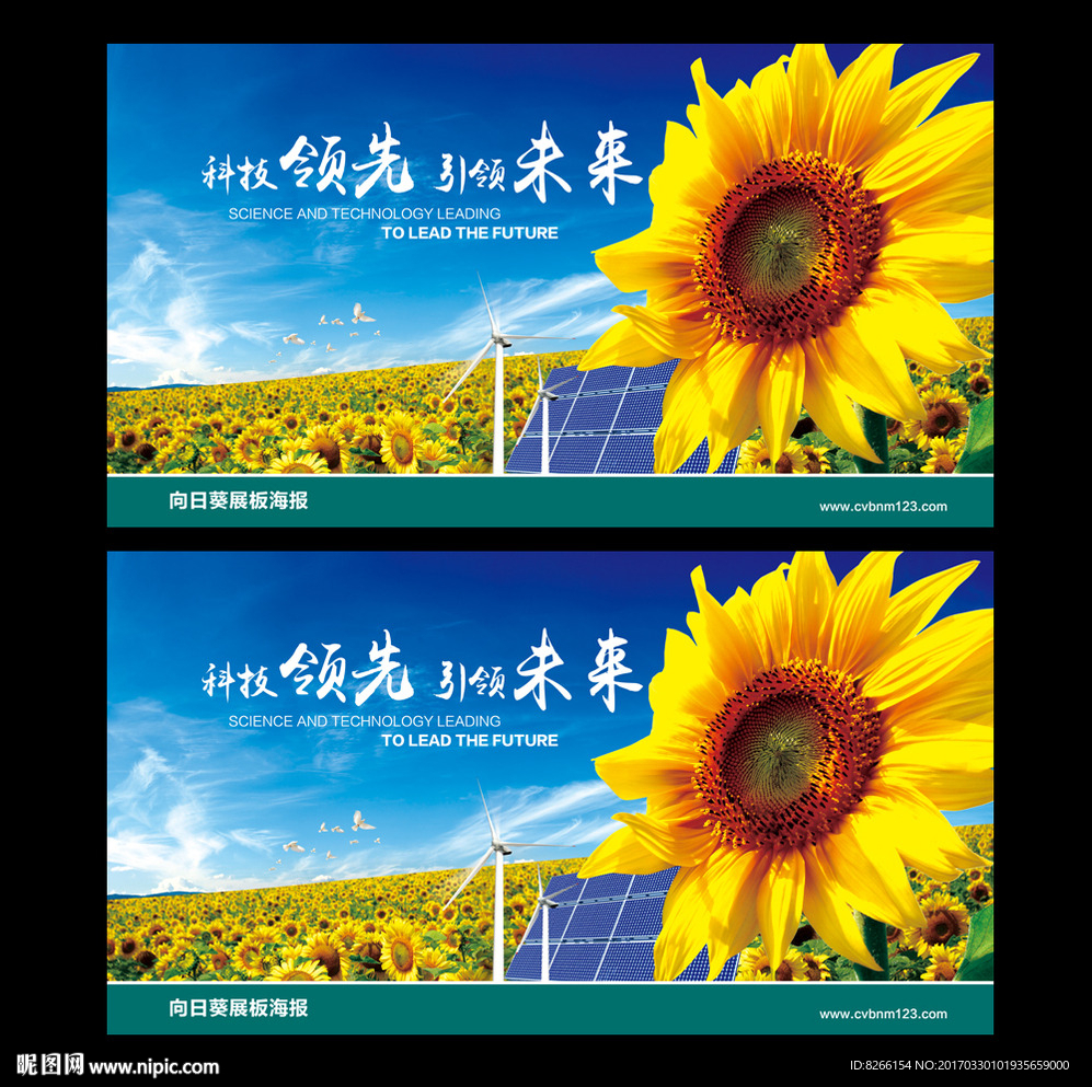 向日葵