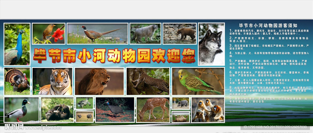 动物园欢迎您