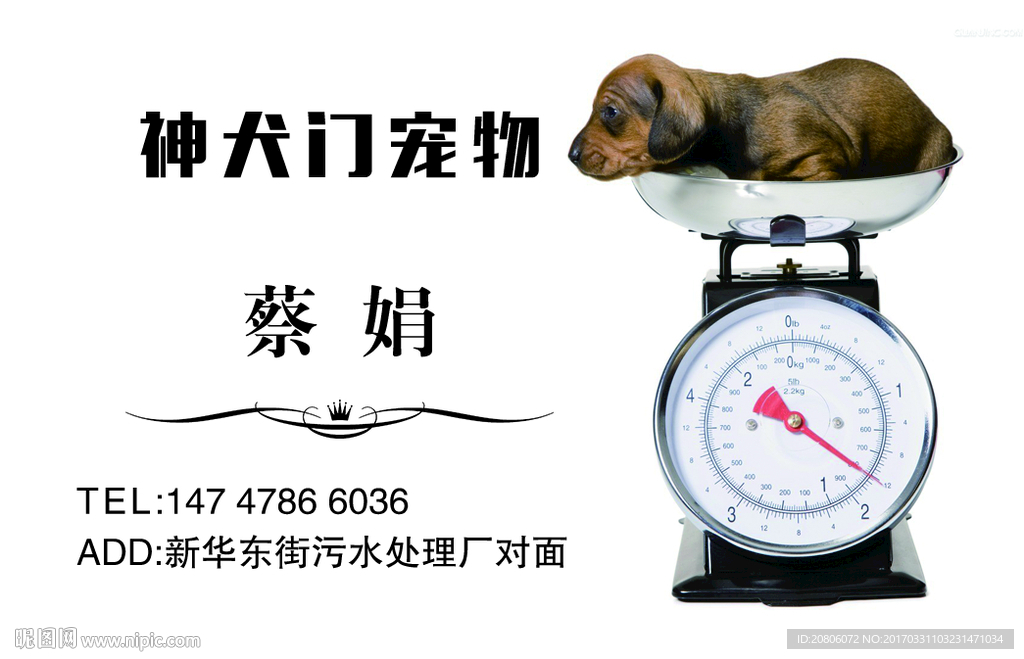 宠物名片
