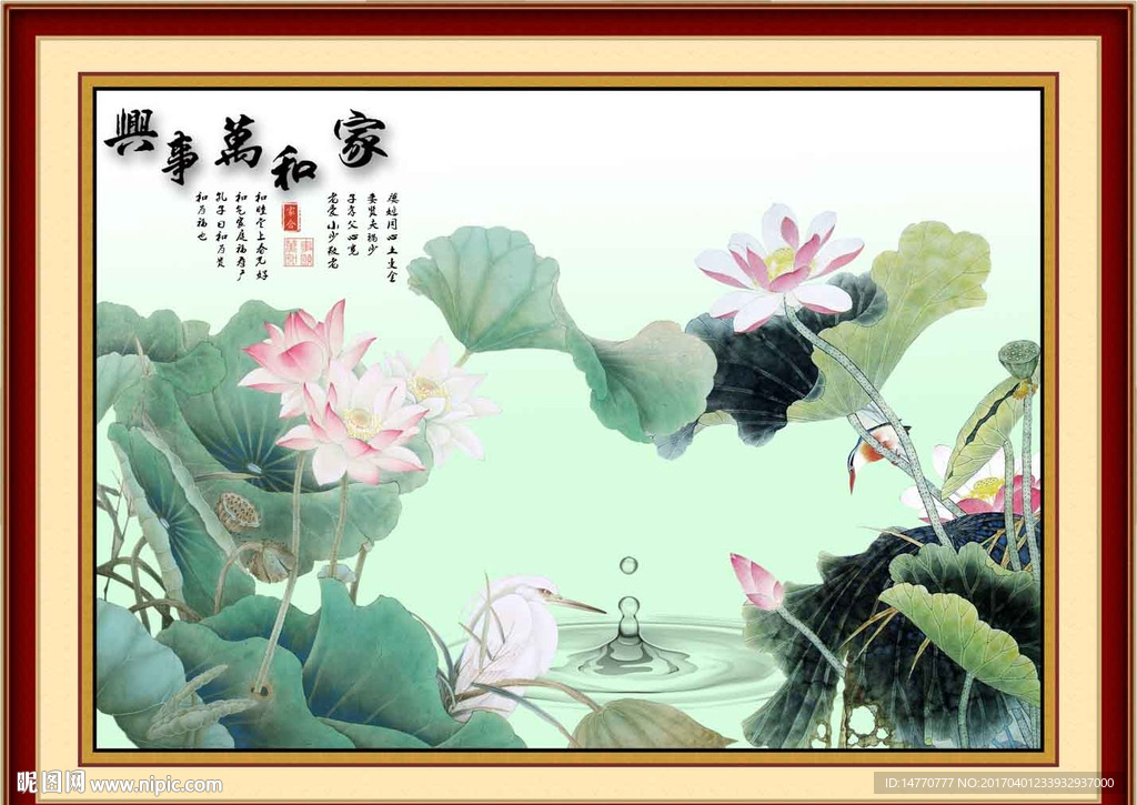 荷花图