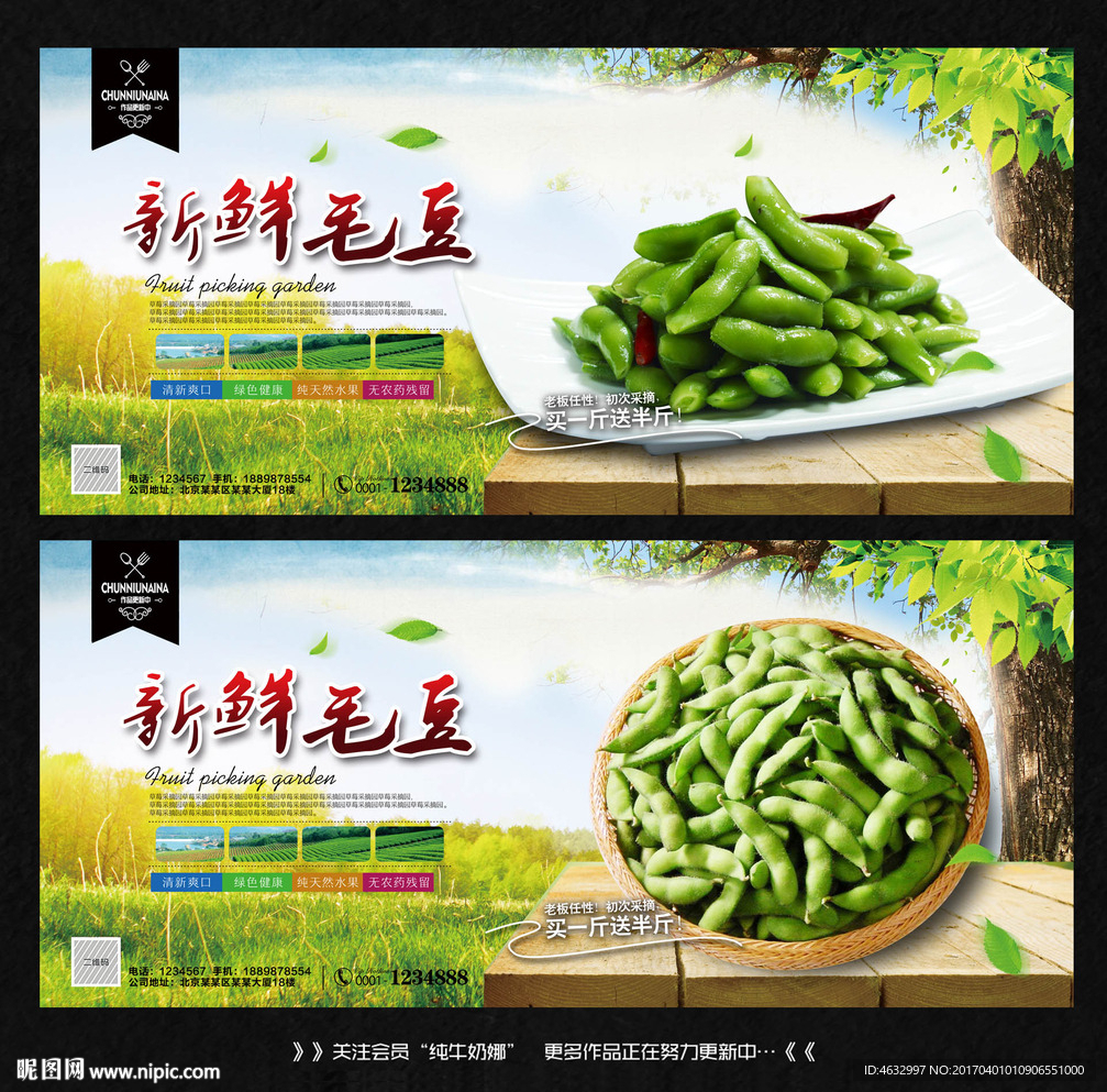 毛豆