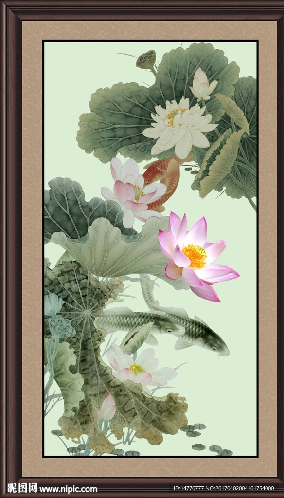 荷花鲤鱼图