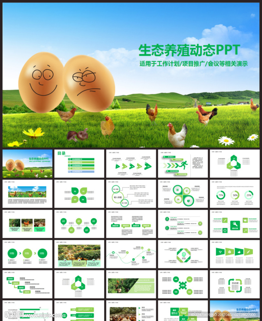 绿色生态养殖鸡蛋加工养鸡PPT