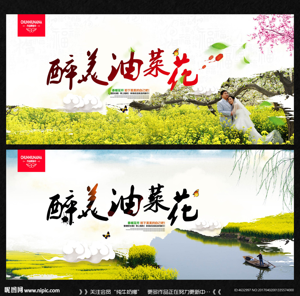 油菜花