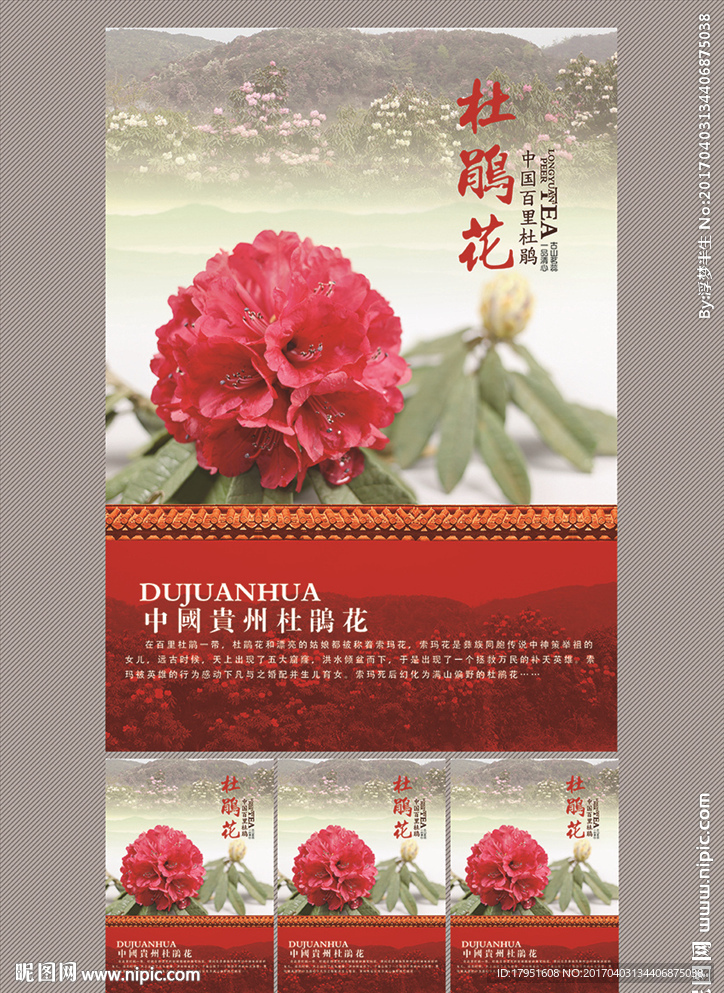 杜鹃花