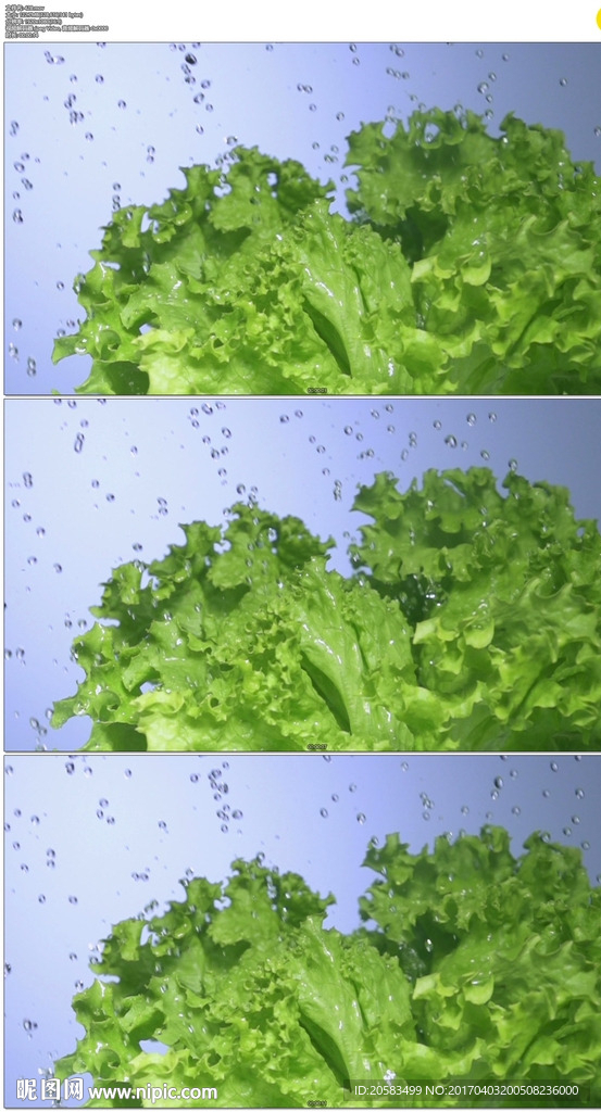 水滴绿色蔬菜