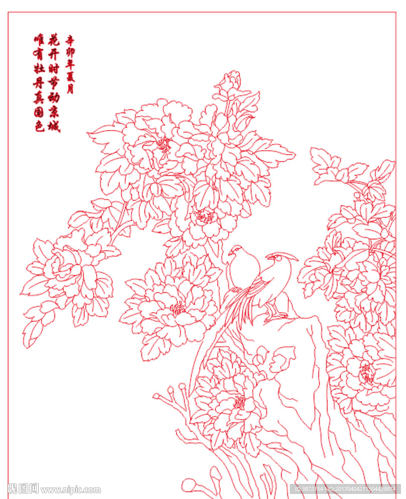 牡丹小鸟