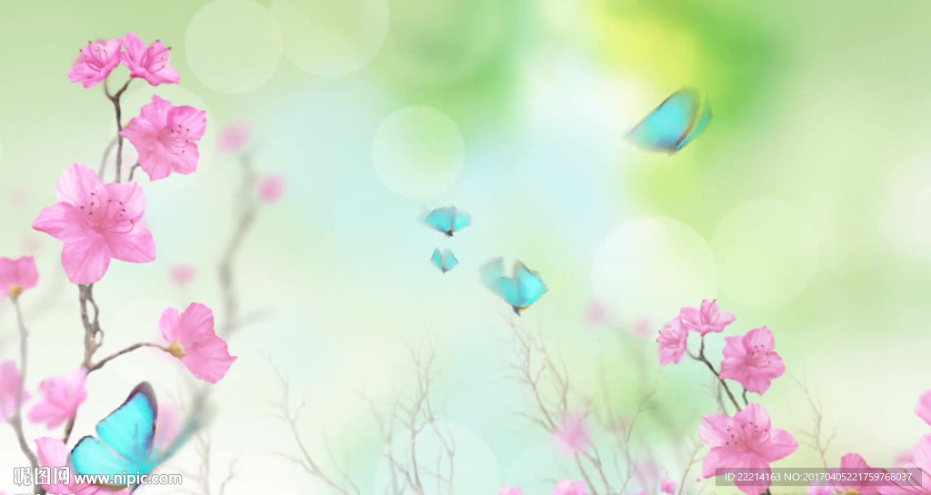 唯美蝴蝶飞舞LED背景视频