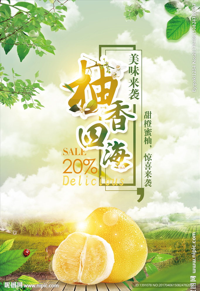 柚香四海