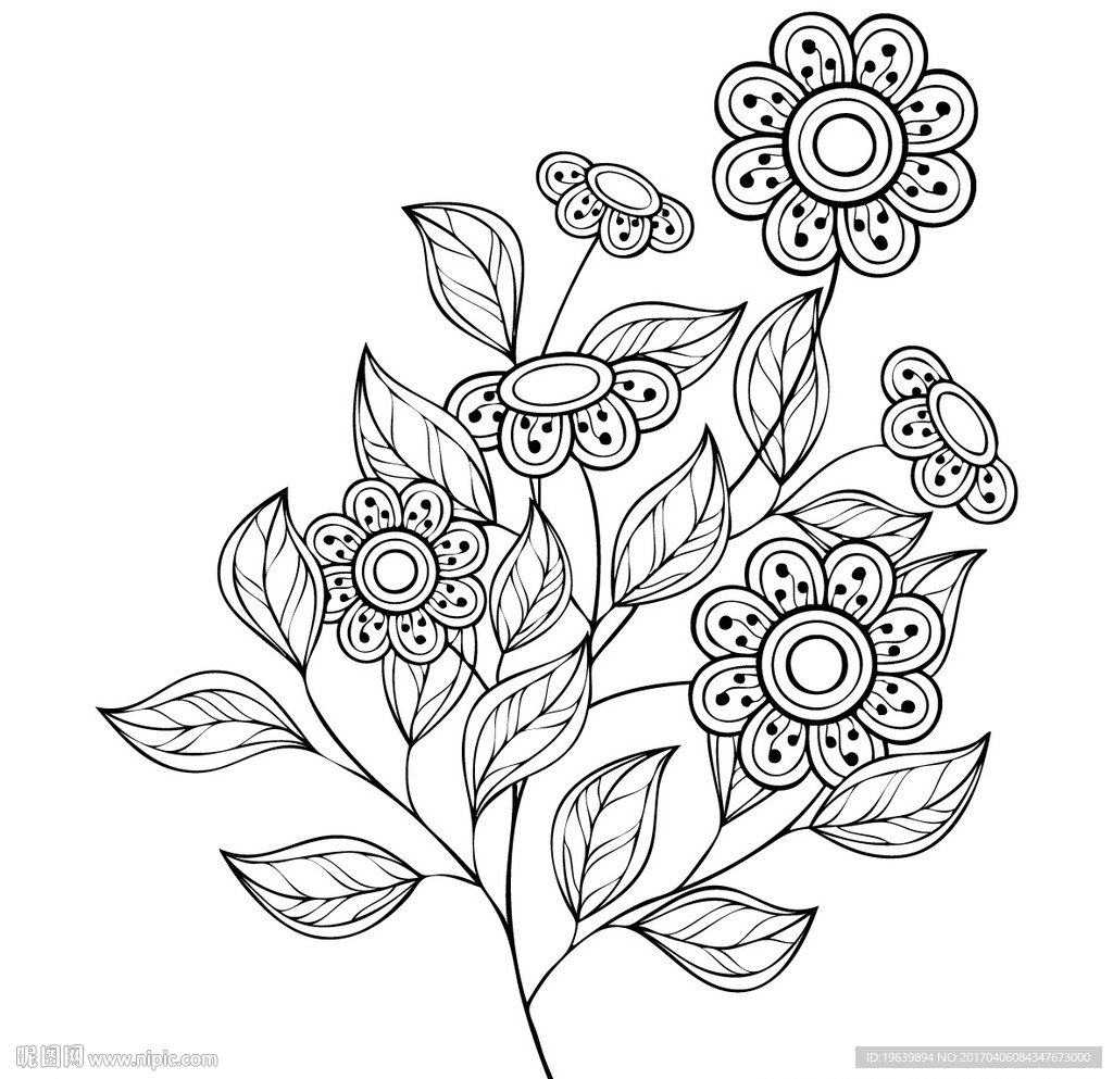 盛开的花朵