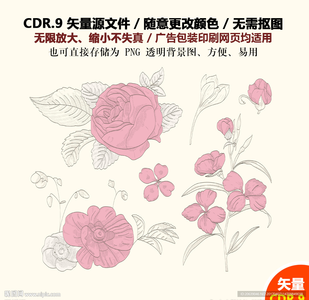 手绘线描鲜花牡丹花矢量图