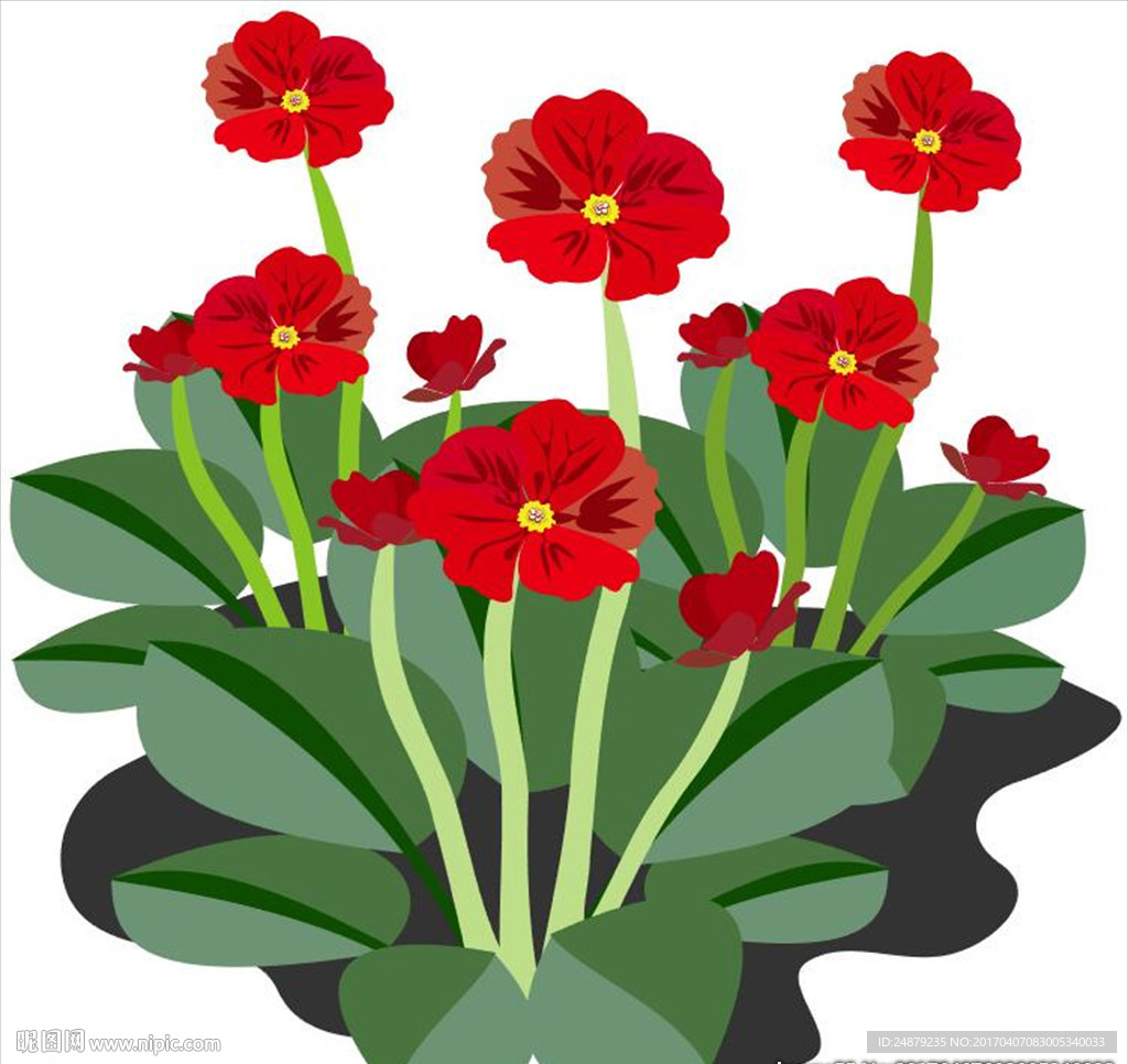 花朵矢量图
