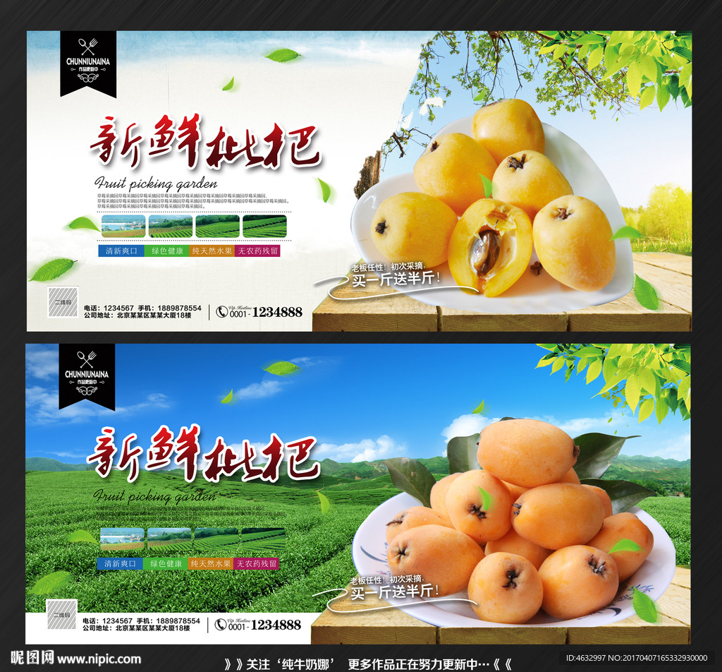 枇杷