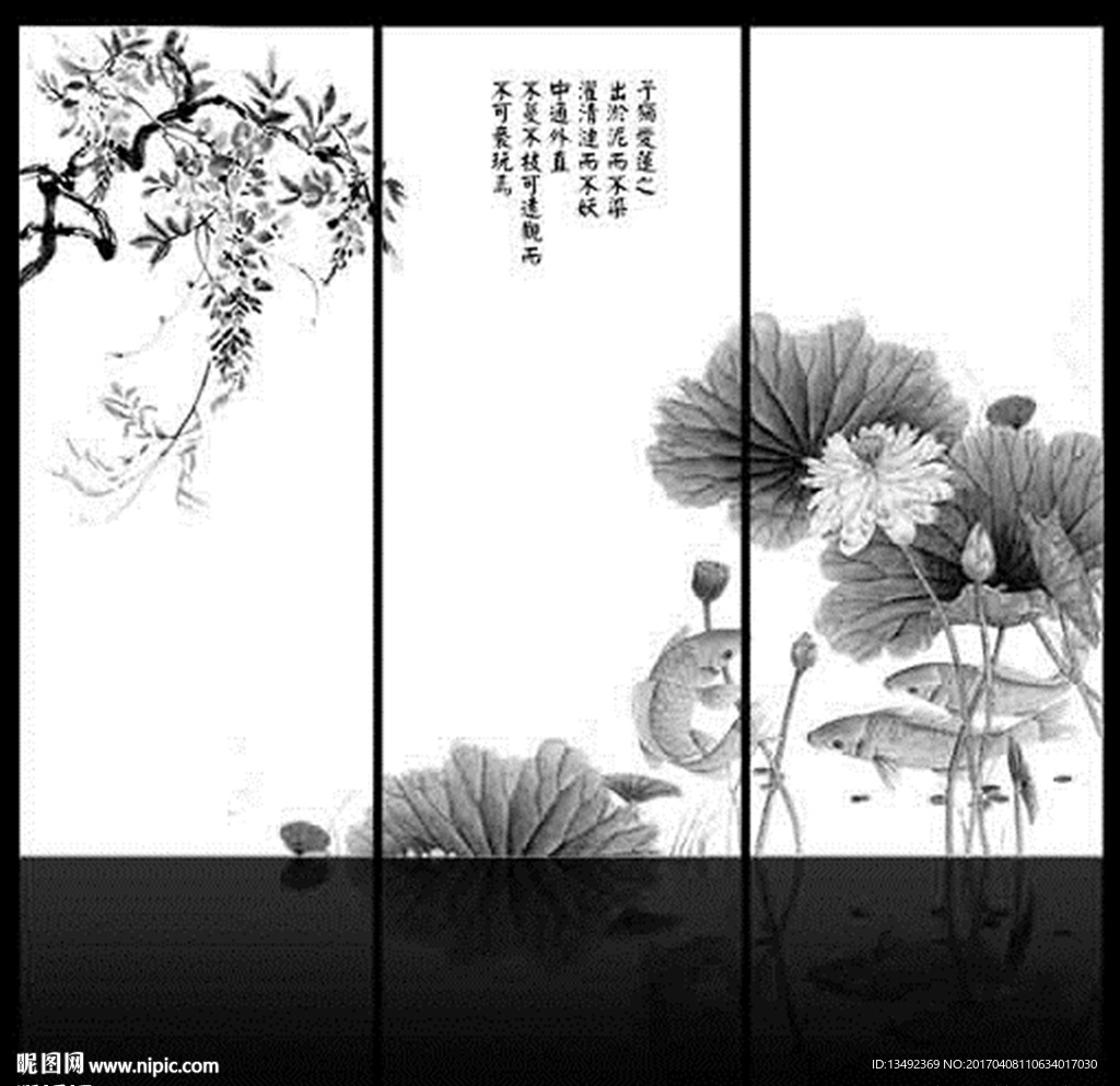 黑白荷花