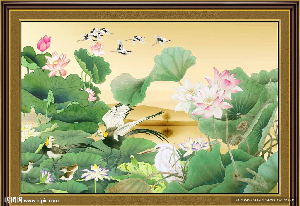 国画荷花