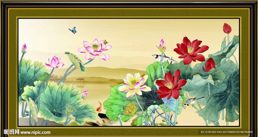 荷花国画