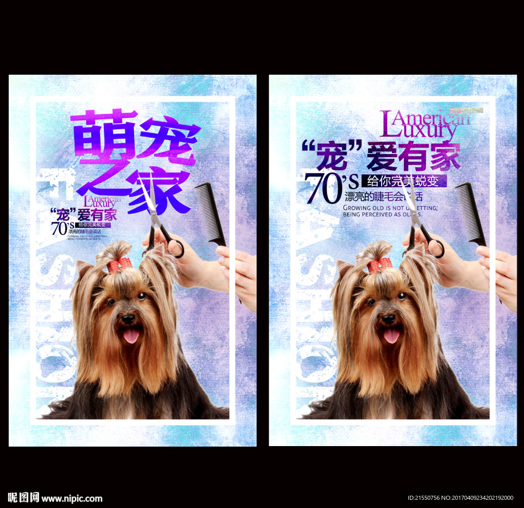宠物