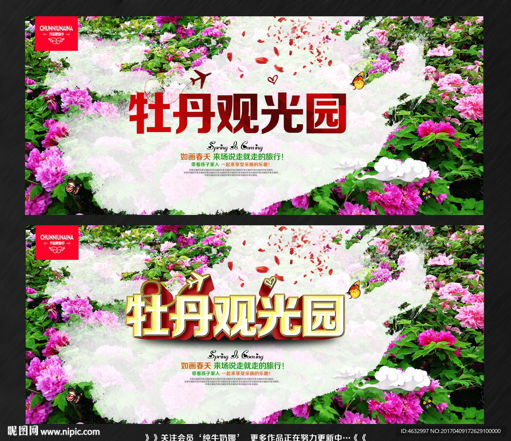 牡丹