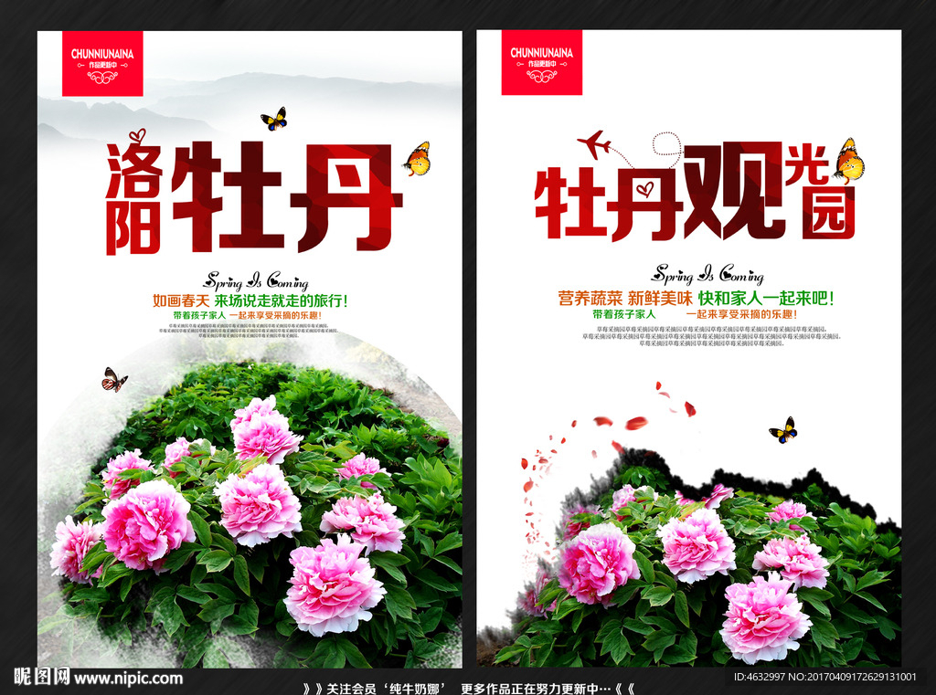 牡丹