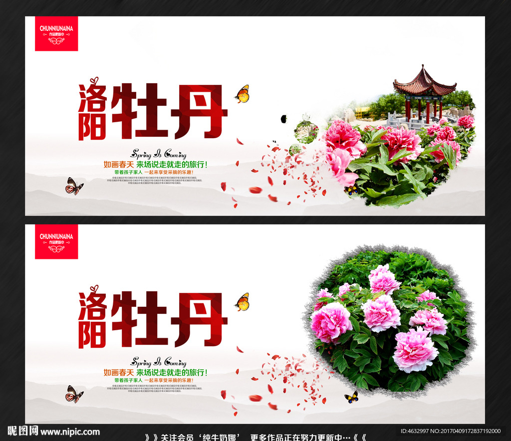 牡丹