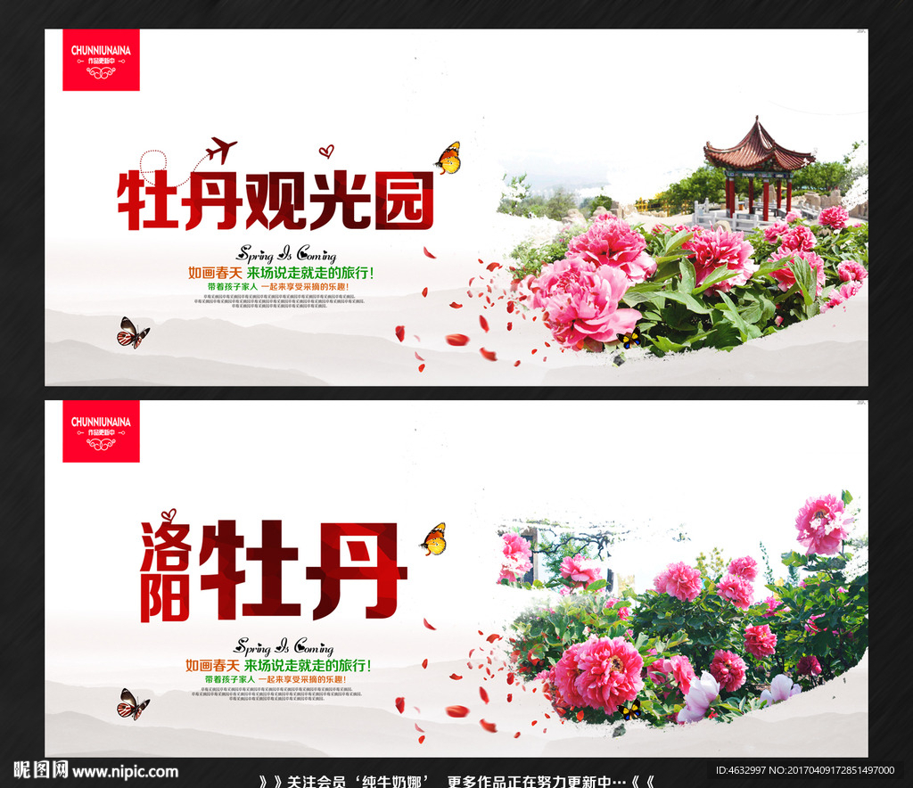 牡丹