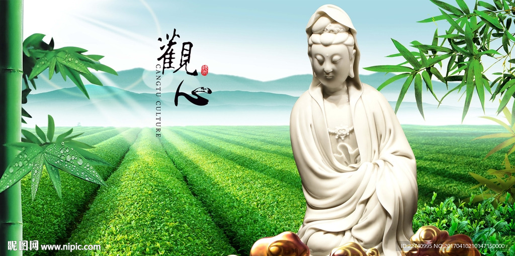 茶