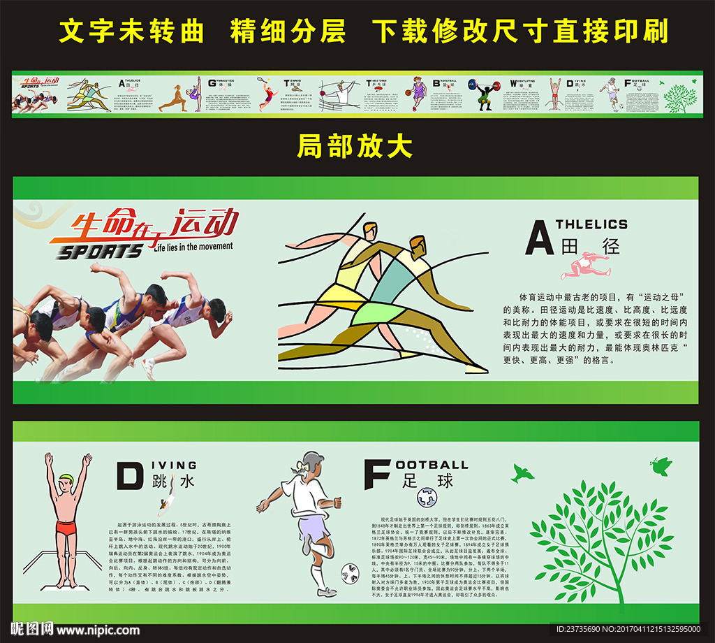 校园体育文化墙
