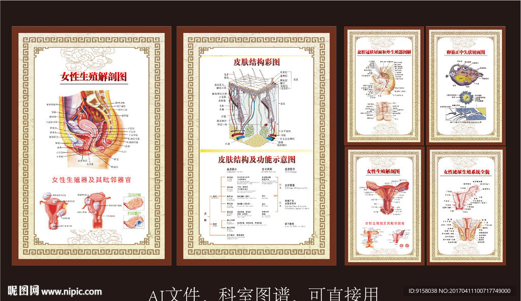 妇科皮肤科科室挂图 图谱