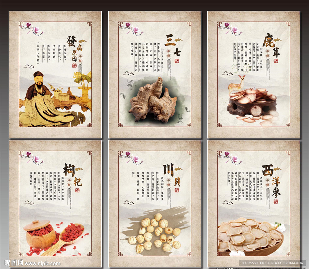 中药挂画