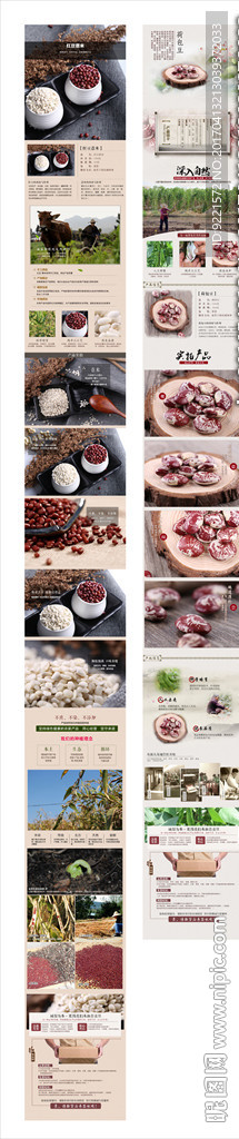 红豆薏米荷包豆详情模板