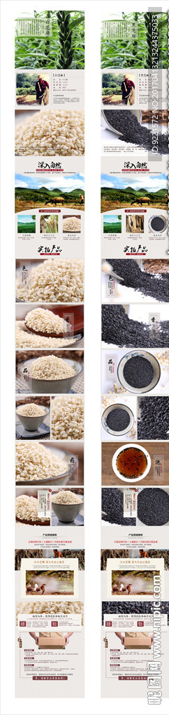 白芝麻黑芝麻详情模板制作