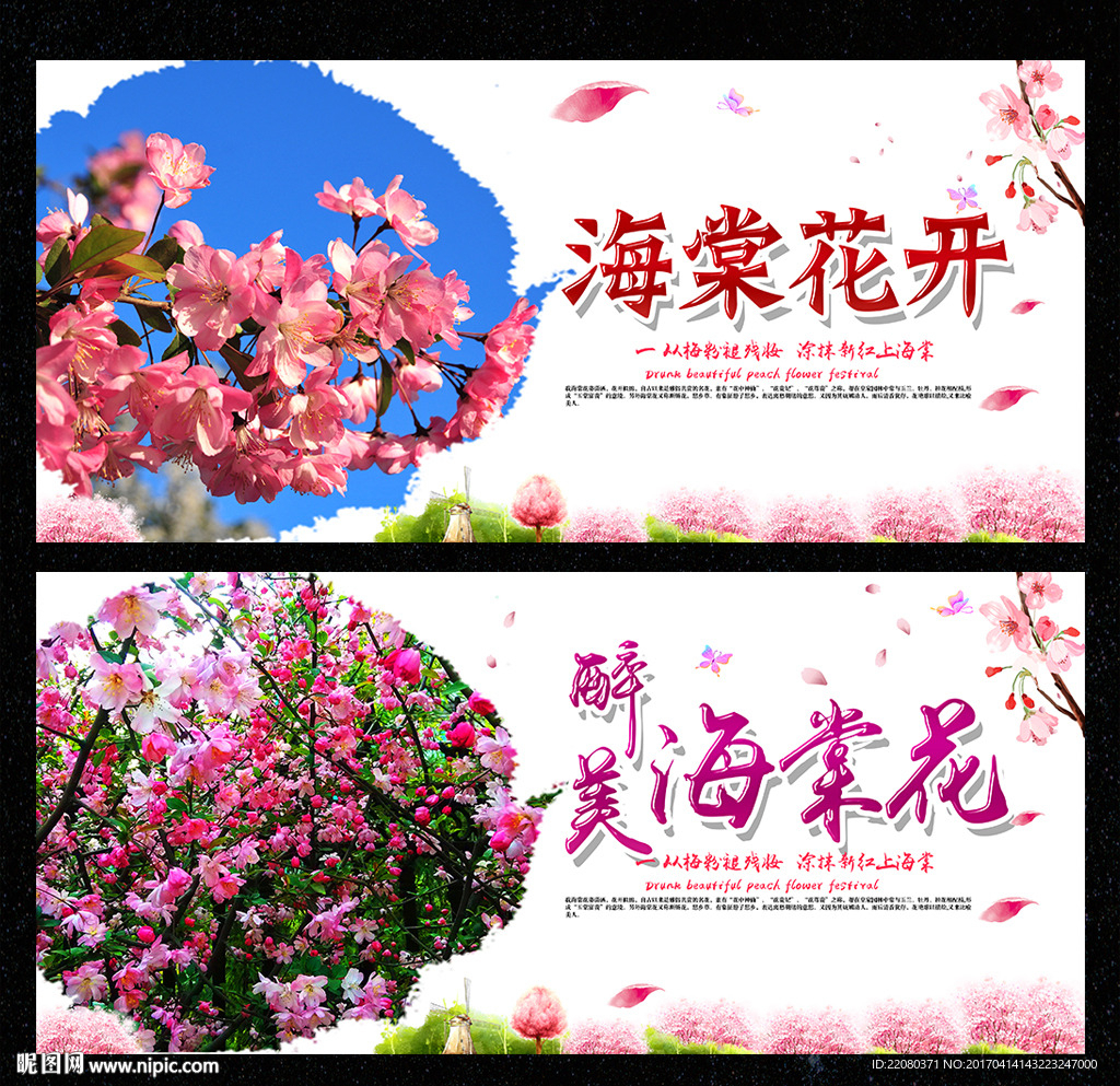 海棠花