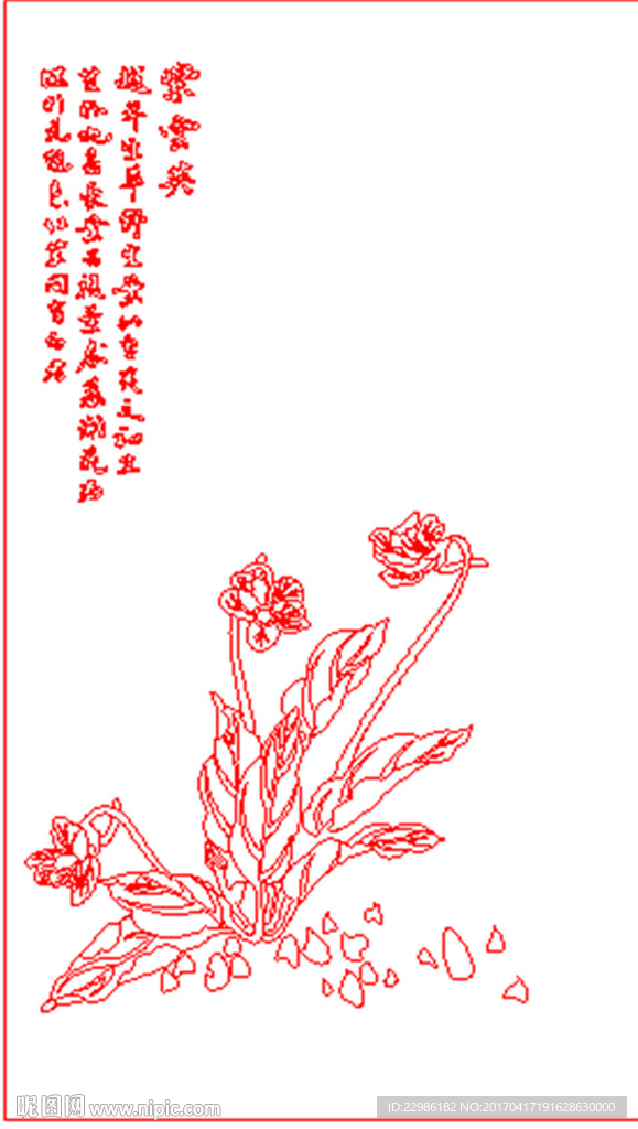 水仙花矢量线条图