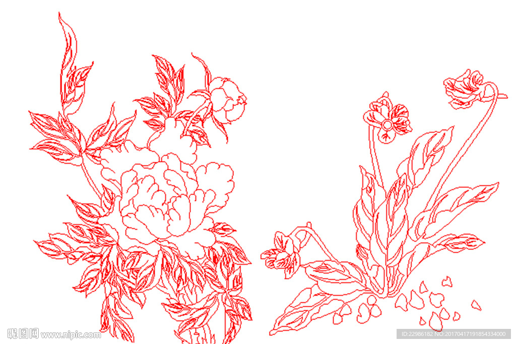 牡丹花鸟矢量线条图