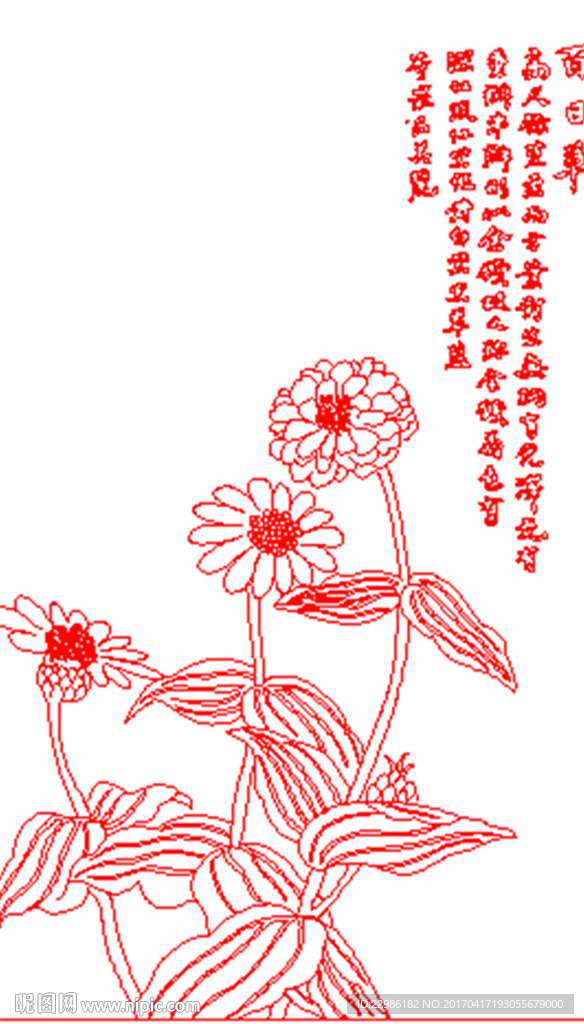 菊花矢量线条图