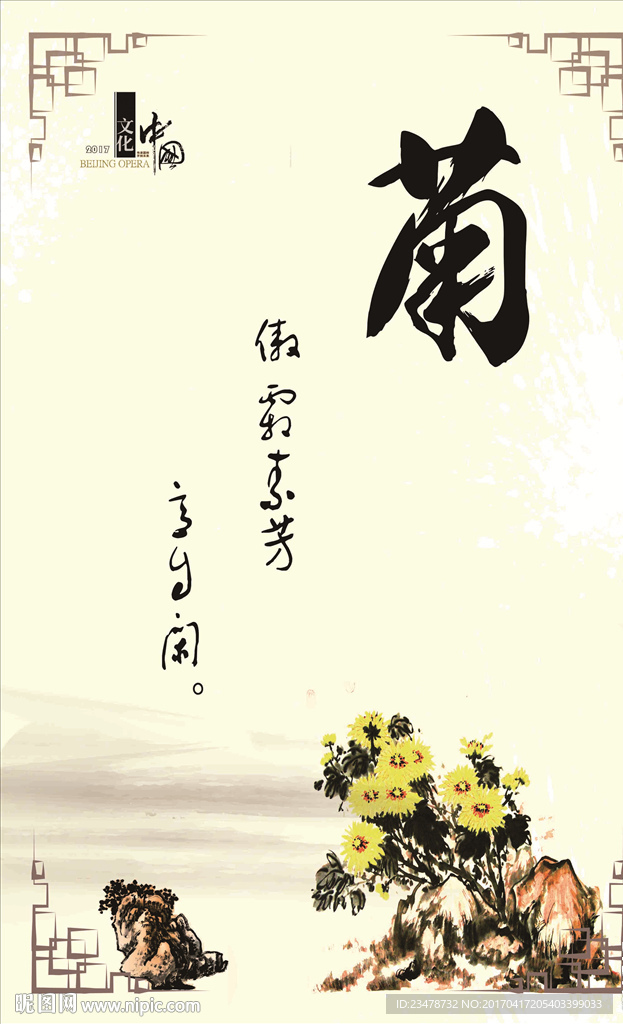 君子文化菊