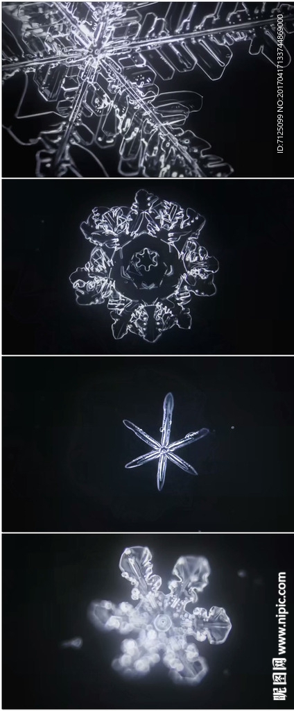 雪花冰晶结晶体