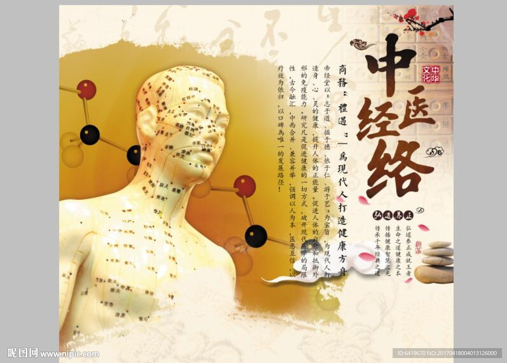 中医经络