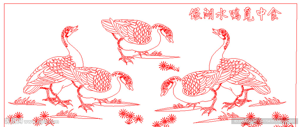 白鹤鹅矢量线条图