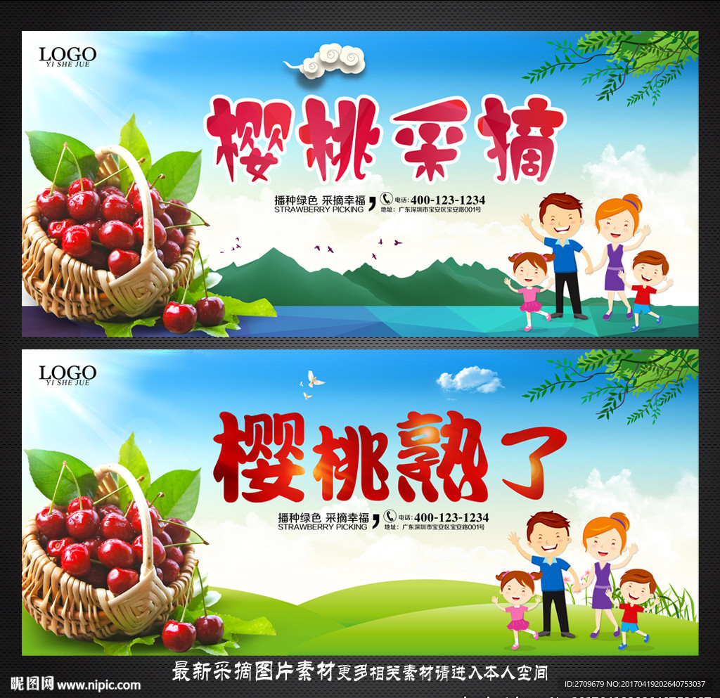 樱桃采摘