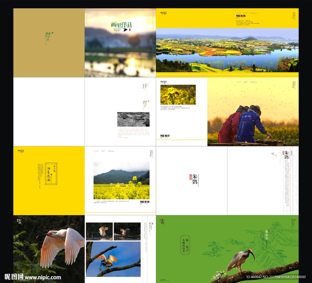 摄影画册  油菜花 朱鹮