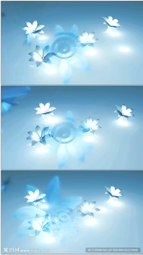 水晶花朵白银花朵动态背景