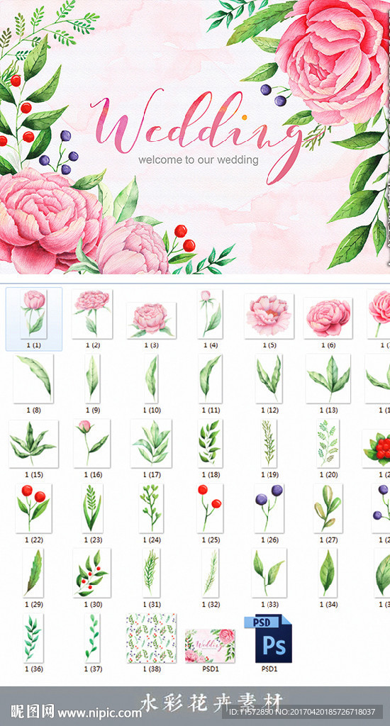 水彩花卉素材