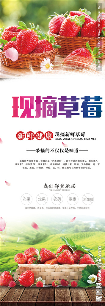 现摘草莓